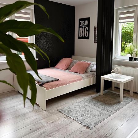 Apartament Stary Zdroj Polanica Resort エクステリア 写真